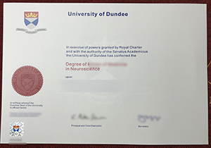 custom University of Dundee degree in UK