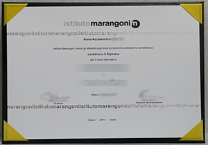Istituto Marangoni degree
