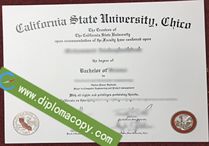 buy fake California State University Chico diploma