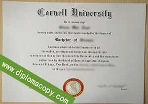 buy fake Cornell University diploma