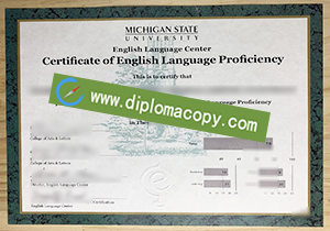 buy fake Michigan State University certificate