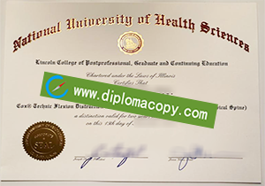 buy fake NUHS diploma