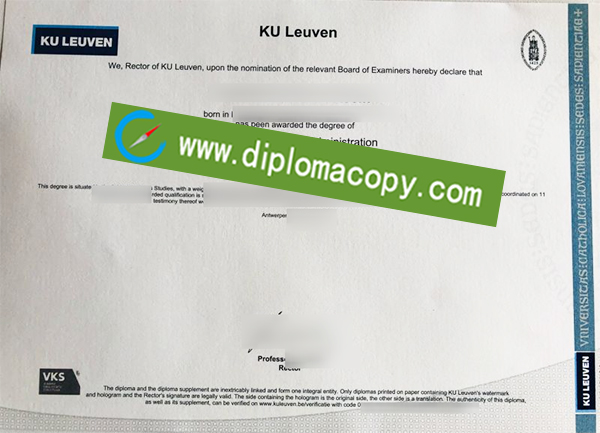 Katholieke Universiteit Leuven degree, KU Leuven diploma