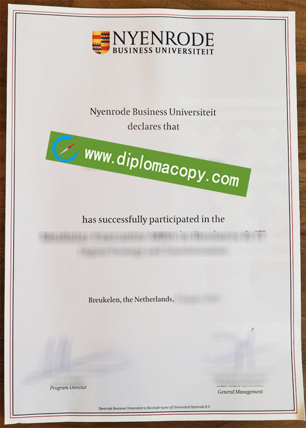 Nyenrode Business University degree, Nyenrode Business Universiteit diploma