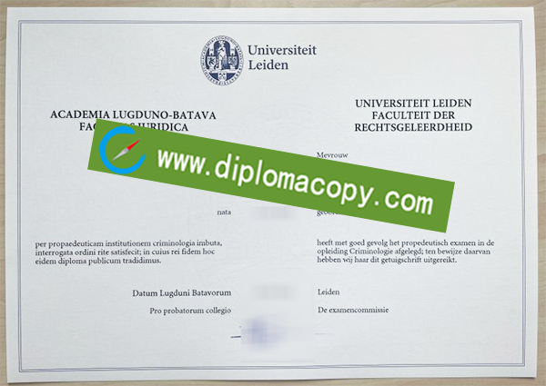 Universiteit Leiden degree, Universiteit Leiden certificate