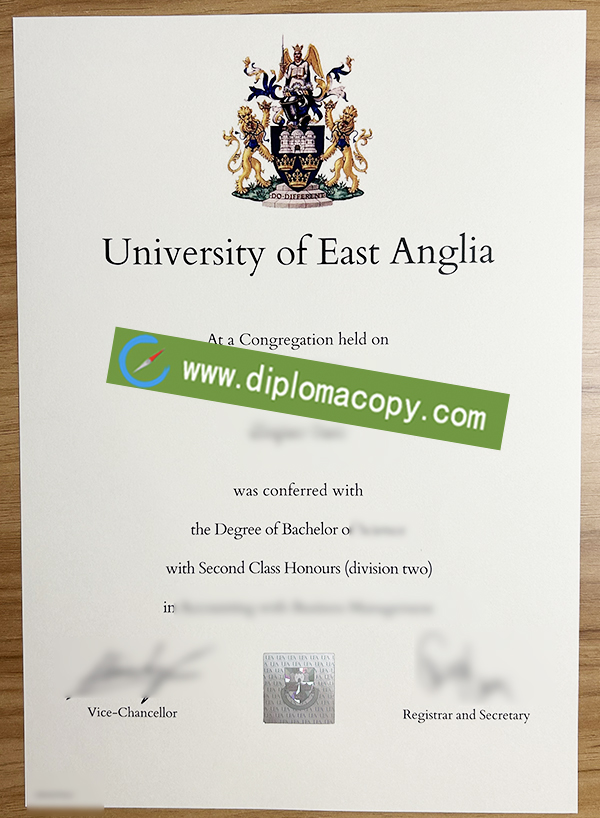 University of East Anglia diploma, UAE degree