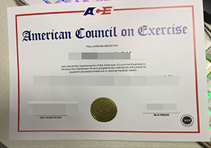 ACE certificate sample