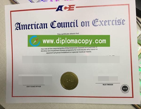 ACE certificate sample