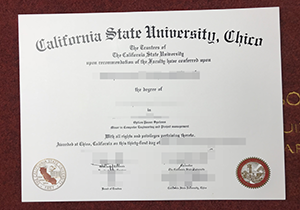 Buy CSU Chico fake diploma