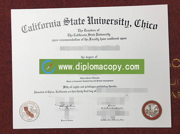 California State University degree sample