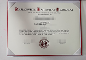 MIT diploma