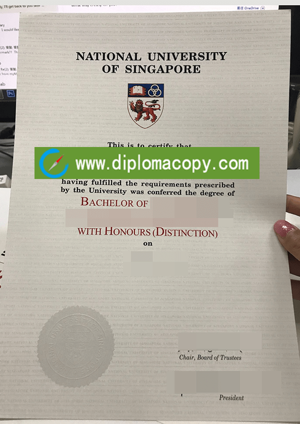 replica National University of Singapore diploma