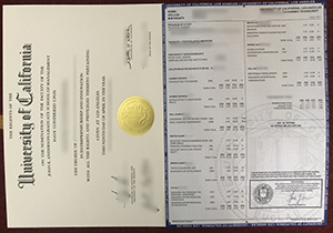 University of California, Los Angeles certificate