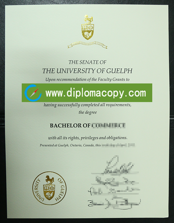 Guelph University degree sample