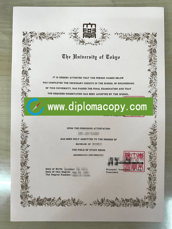 Tokyo University diploma in English