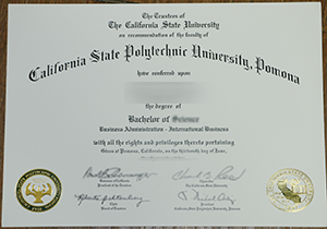 CPP diploma