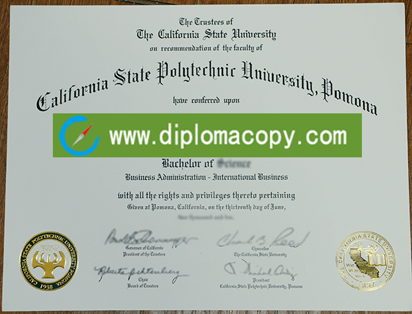 CPP diploma