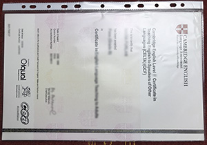 CELTA Certificate sample