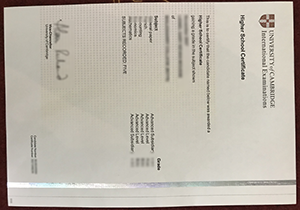 HSC certificate sample