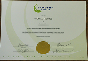 Camosun College degree paper