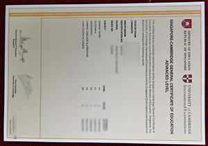 Buy fake Singapore-Cambridge GCE A-Level certificate