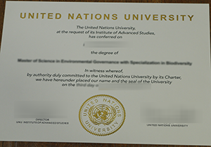 United Nations University diploma for sale