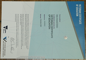 fake VCE certificate sample