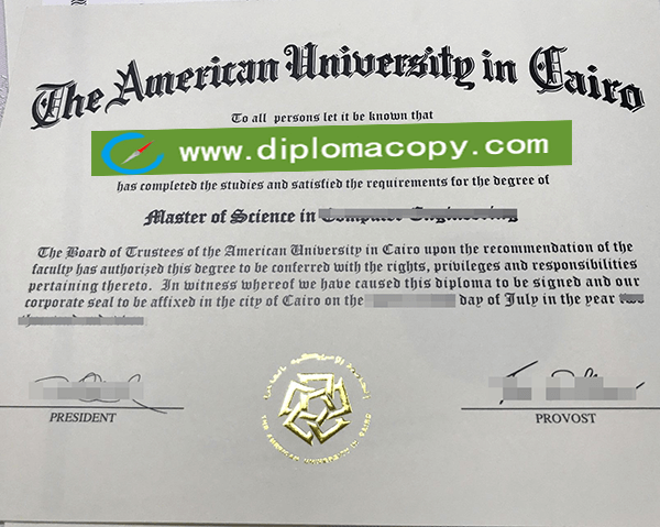 American University in Cairo diploma