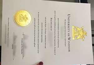 Buy University of Windsor fake diploma