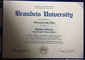 Brandeis University degree