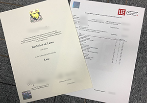 LSE diploma, LSE transcript