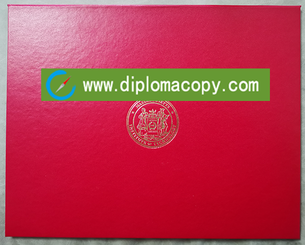 MIT diploma leather cover