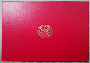MIT diploma leather cover