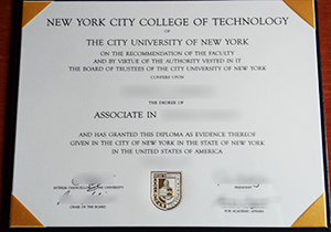 New York City College of Technology diploma from CUNY