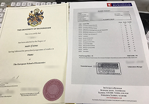 University of Buckingham diploma, University of Buckingham transcript