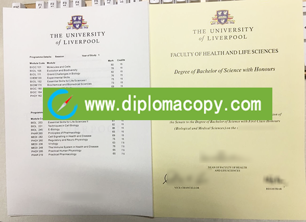 shopping University of Liverpool copy degree and transcript