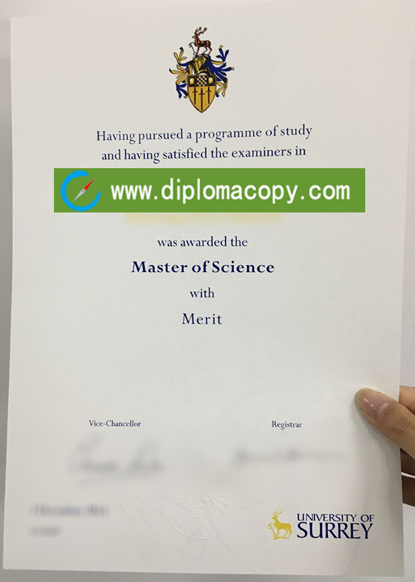 University of Surrey diploma sample