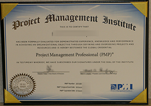 Project Management Professional certificate