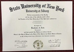 State University of New York at Albany diploma