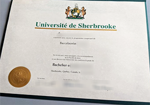 fake Université de Sherbrooke degree