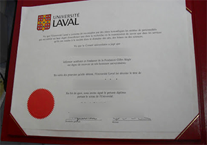 Université Laval fake diploma