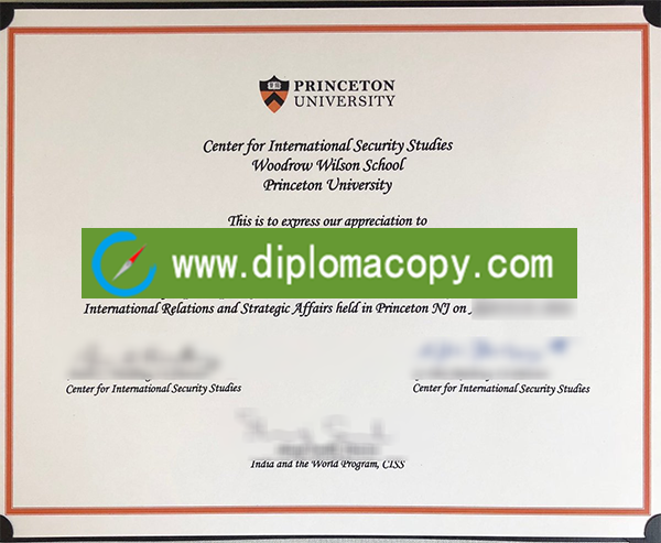 Princeton University degree