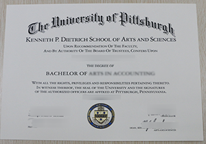 fake University of Pittsburgh degree for sale