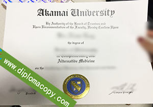 buy fake buy fake Akamai University diploma
