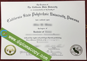 buy fake California State Polytechnic University Pomona degree