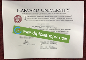 buy fake Harvard University degree