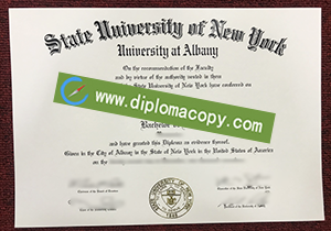 buy fake State University of New York Albany degree