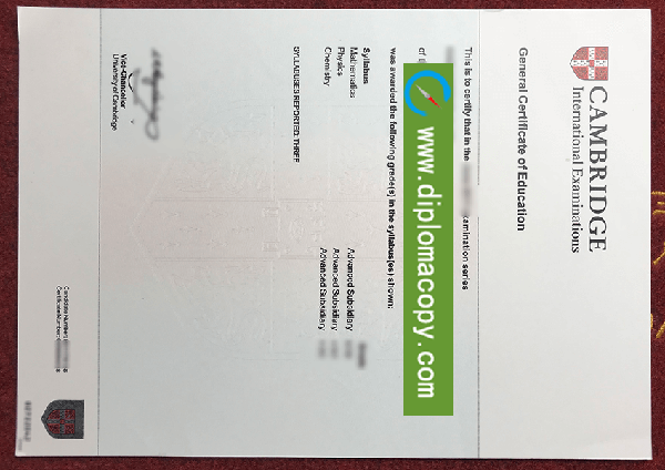 buy fake degree certificate, GCE fake certificate