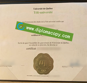 buy fake Université du Québec diploma