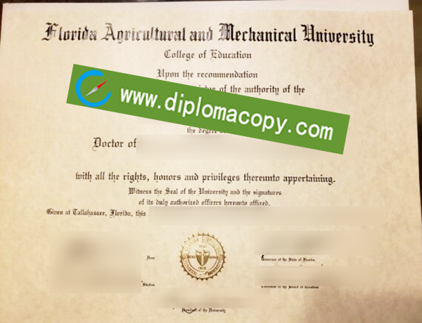 Florida A&M University degree, fake FAMU diploma